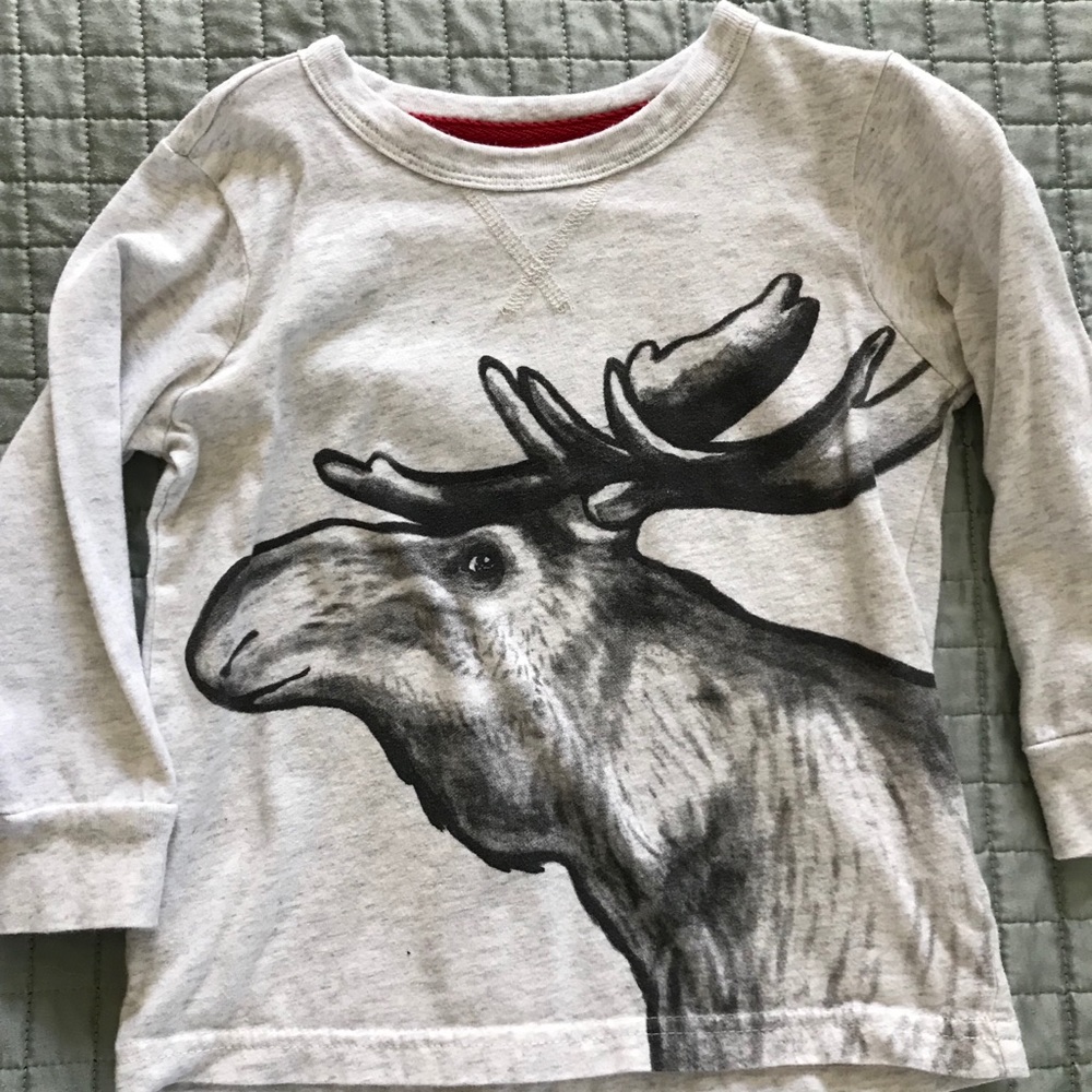 Boys Carter’s 2T long sleeve
